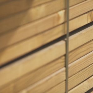 Pakalimo Dailylentės